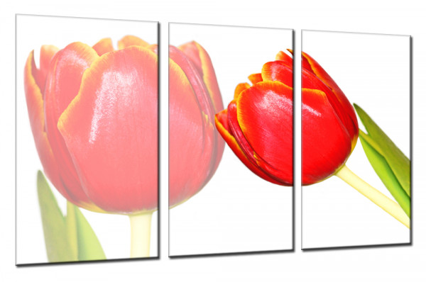 Red Tulip 148 - Mehrteiliges Leinwandbild