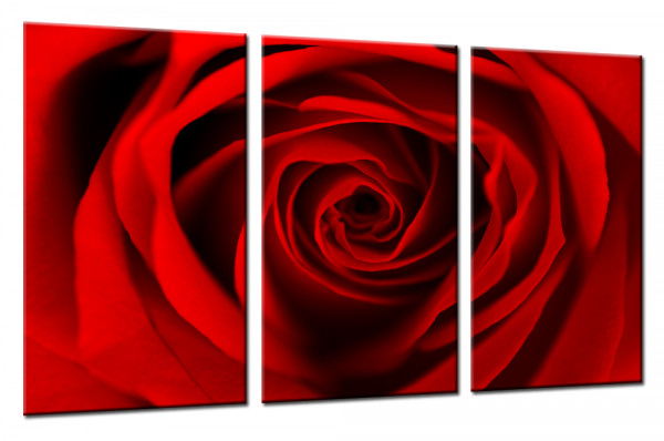 Red Dreaming Rose 150 - Mehrteiliges Leinwandbild