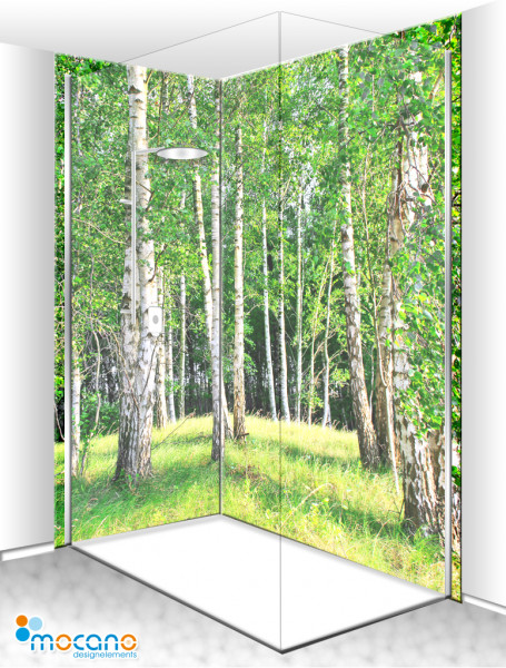 Duschrückwand Eck-Set Birkenwald 5 200x210cm - Wohnbeispiel