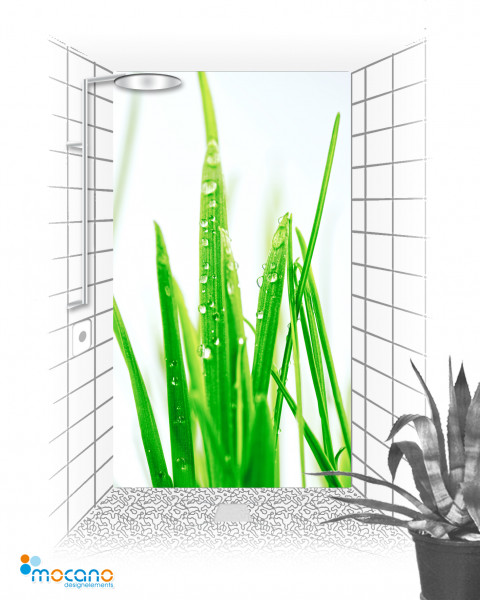 Gras mit Wassertropfen - 120x210cm Duschrückwand - Wohnbeispiel