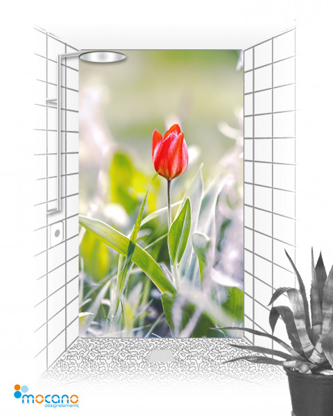 Rote Tulpe im Beet - 120x210cm Duschrückwand - Wohnbeispiel