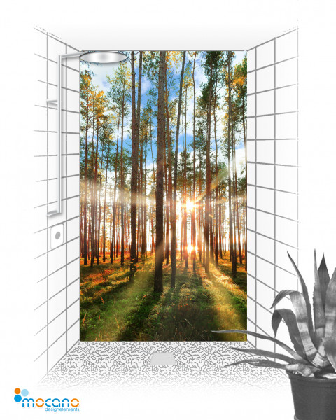 Wald im Gegenlicht 2 - 120x210cm Duschrückwand - Wohnbeispiel